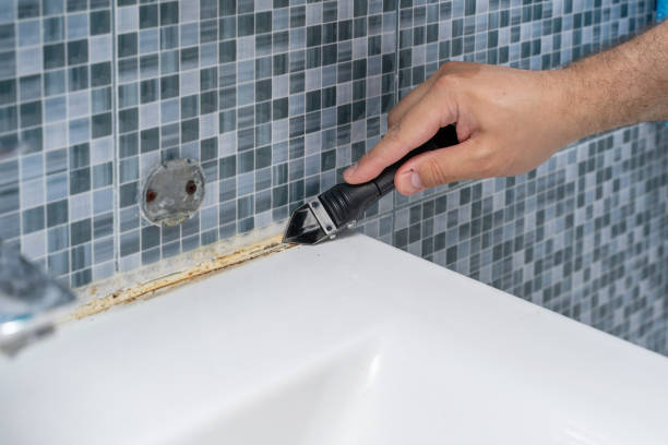 Certified Mold Removal in Waikele, HI